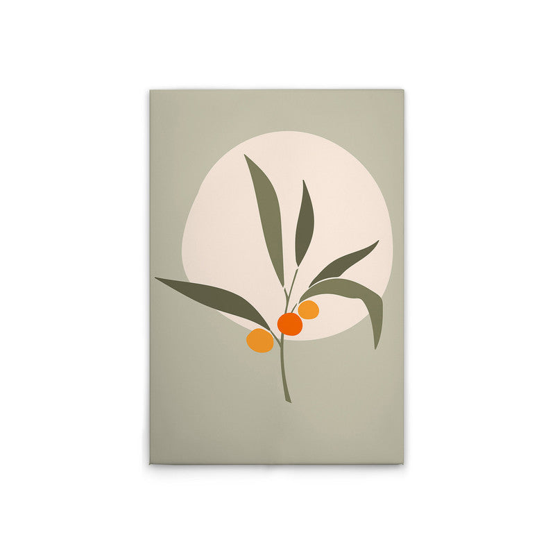 Olive3 