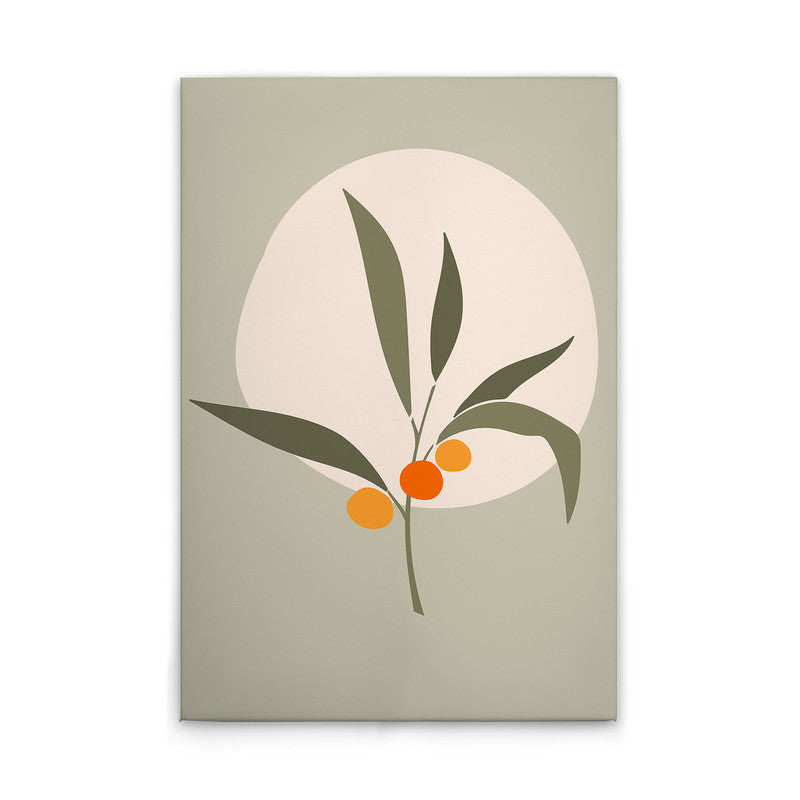 Olive3