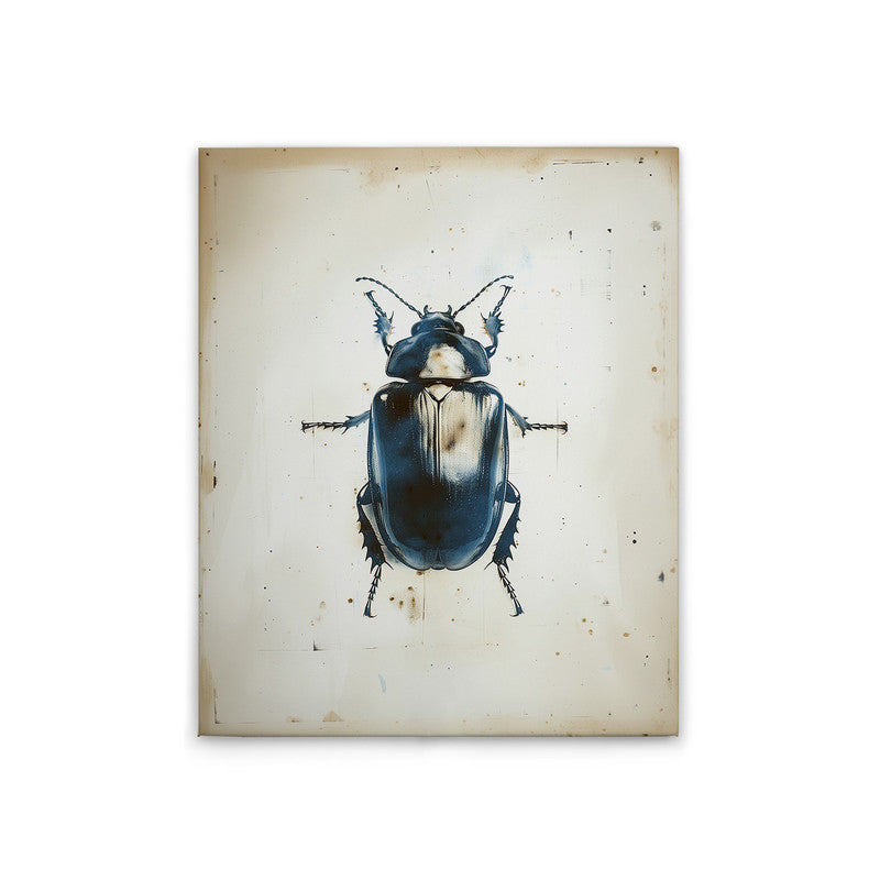 Beetle