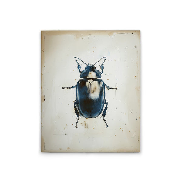Beetle