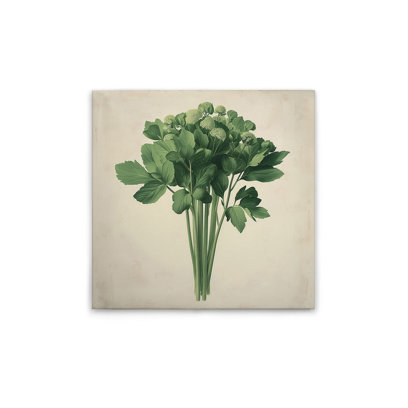 celery