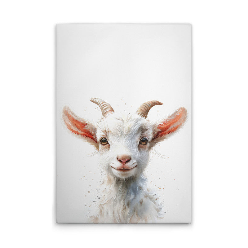 Babybillygoat