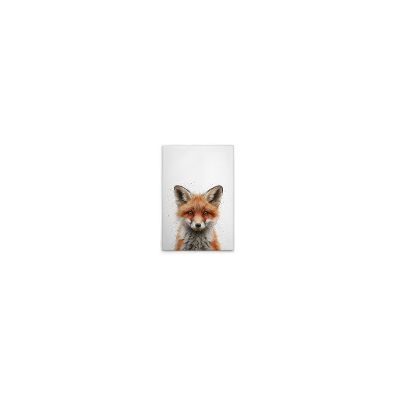 BabyFox 