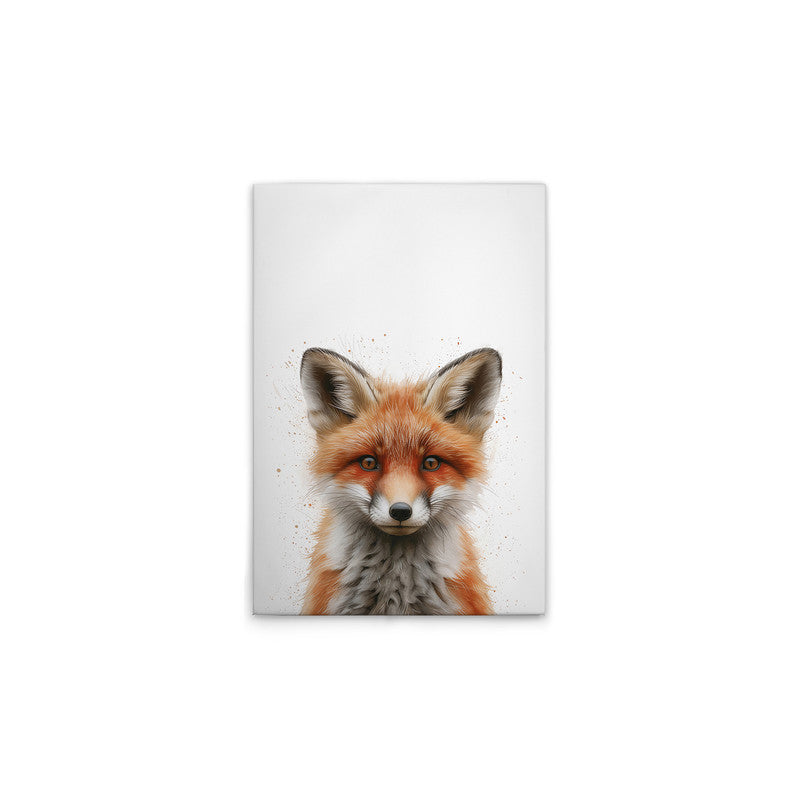 BabyFox 