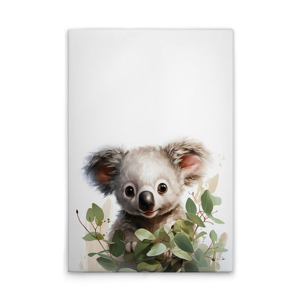 BabyKoala
