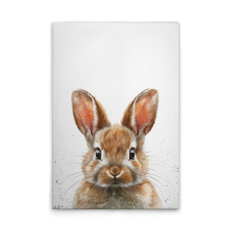 BrownBabyBunny