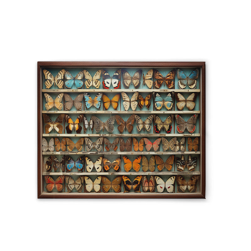 ButterflyBox