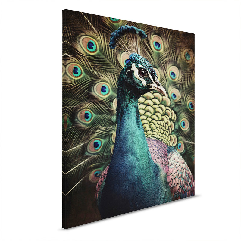 Peacock Portrait 