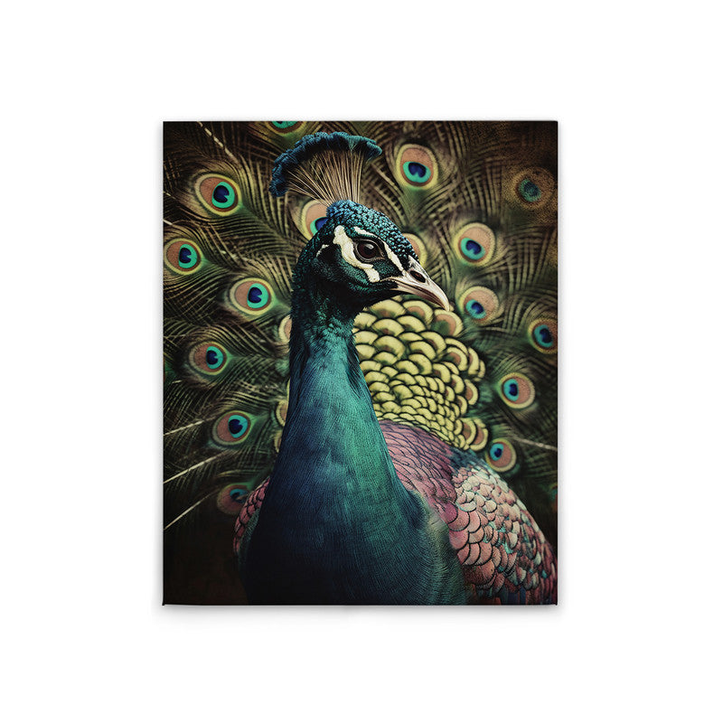 Peacock Portrait 