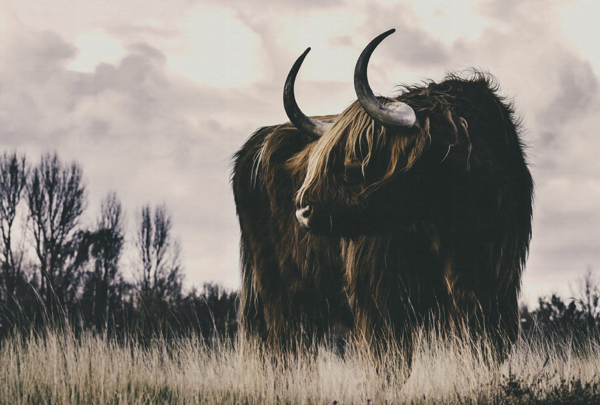 Fototapete im Digitaldruck