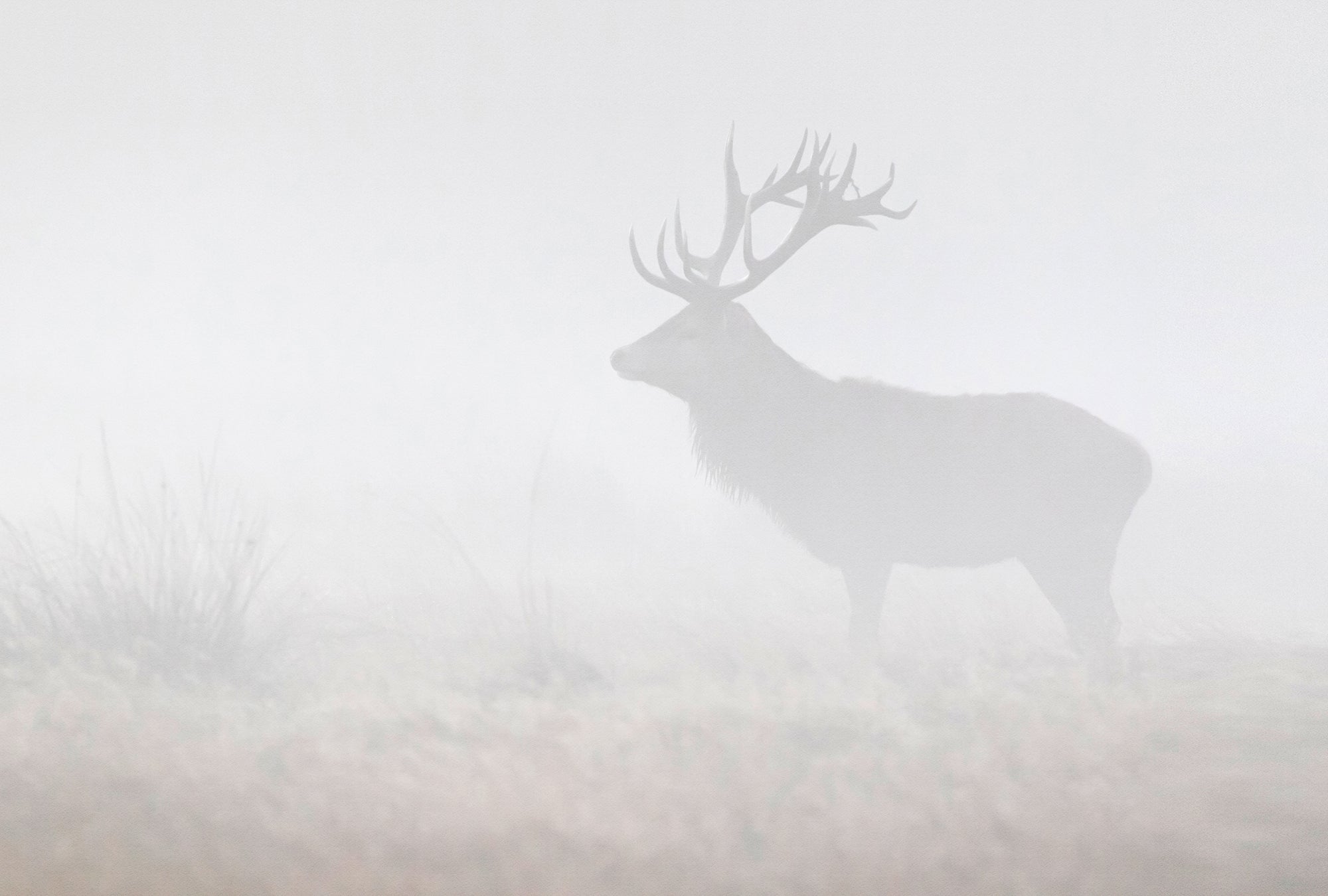 Fototapete im Digitaldruck