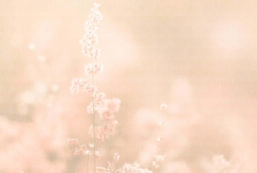 Fototapete im Digitaldruck