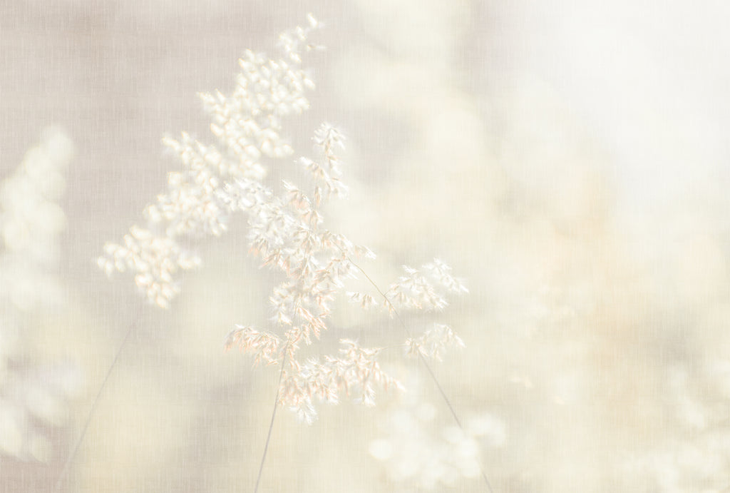 Fototapete im Digitaldruck