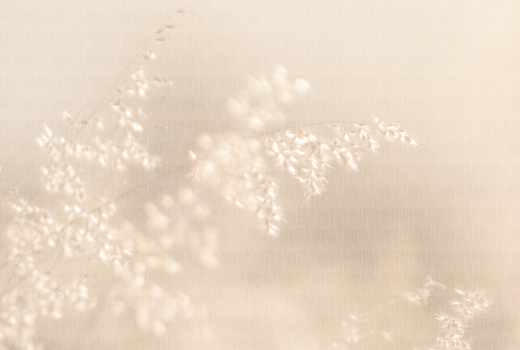 Fototapete im Digitaldruck