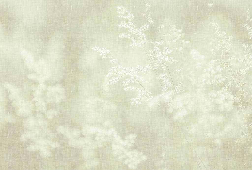 Fototapete im Digitaldruck